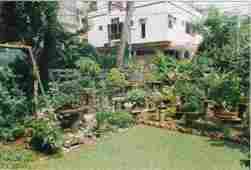Pune Bonsai Garden