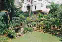 Pune Bonsai Garden Pune Bonsai Garden