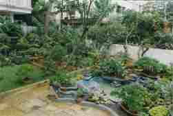 Pune Bonsai Expert's Garden